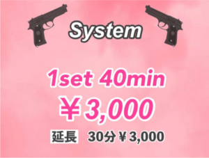 ベレッタ料金システム